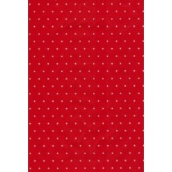 Saco 30X45 - C/ 25 Un - Estrela Branca